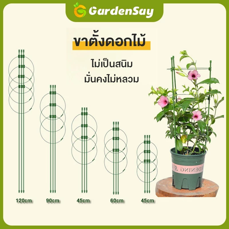 กรงพืช โครงเถาวัลย์ เสามะเขือเทศ ซุ้มไม้ โครงปลูก อุปกรณ์สำหรับพืชไม้เลื้อย จัดทรงต้นไม้ ไม้เลื้อย 45/60/75/90/120ซม.