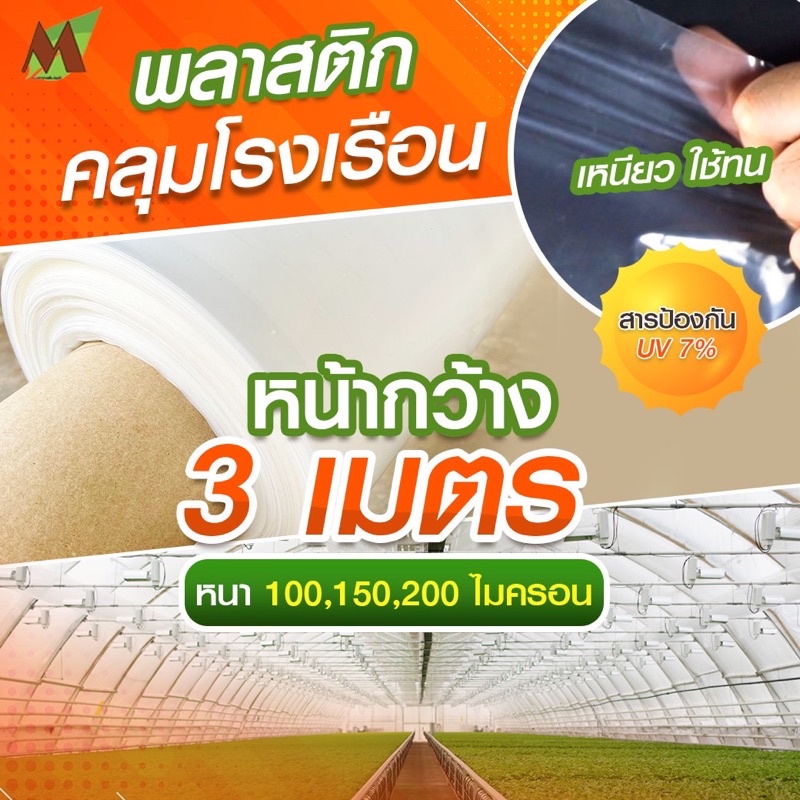 พลาสติกใส คลุมโรงเรือน พลาสติกโรงเรือน พลาสติกใส บอนสี ไม้ด่าง หน้ากว้าง 3 เมตร หนา 100 150 200 ไมครอน UV7%