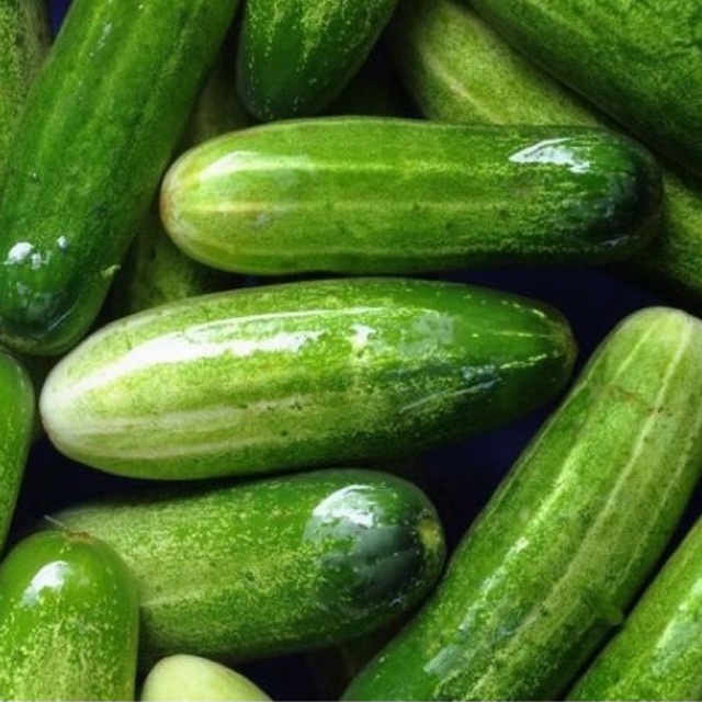 🥒แตงกวา 0.5 KGสดๆจากสวน กรอบอร่อย ฉ่ำน้ำ 👌🏼👌🏼ปลอดสาร ปลูกเอง กินเอง ขายเอง ประมาณ 6-7ลูก จัดส่งทุกวัน กดสั่งได้เลยครับ🥒🥒 - รูปที่ 2