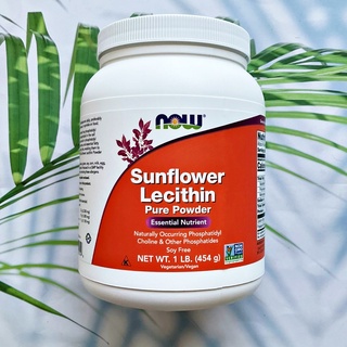 ผงเลซิตินบริสุทธิ์จากเมล็ดดอกทานตะวัน Sunflower Lecithin Pure Powder 454 Grams (Now Foods) Kosher ช่วยระบบประสาท &amp; สมอง