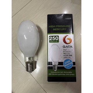 หลอดแสงจันทร์(bowling) 250-500W แสงสีส้ม ตกหมึก ล่อหมึก ไดหมึก