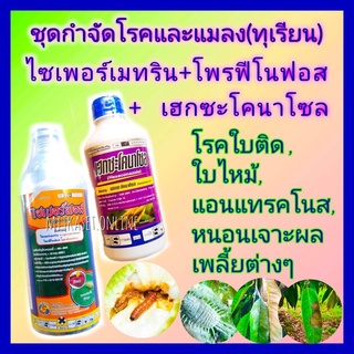 ชุด กำจัดโรคและแมลง ทุเรียน เฮกซะโคนาโซล 1 ลิตร + ไซเพอร์เมทริน 4%+โพรฟีโนฟอส 40%(ไซเปอร์ฟอส1ลิตร)ยาฆ่าแมลง หนอน ใบติด