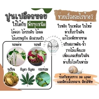 ถูกที่สุด ส่งทันที💥ปูนเปลือกหอย 18 กิโล ปรับสภาพดิน ใบสวย รากเเข็งเเรง ไล่แมลง มด หอยทาก กันเชื้อราในคอกสัตว์