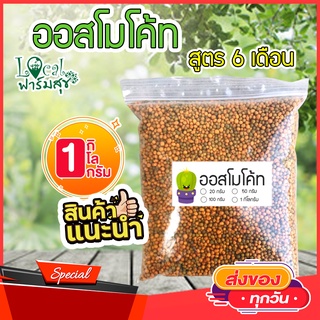 Local ฟาร์มสุข ออสโมโค้ท (Osmocote-plus) สูตร 12-25-6+1% สำหรับ 6 เดือนทำให้ดอกมีขนาดใหญ่ เร่งดอก เร่งสี 1 กิโล