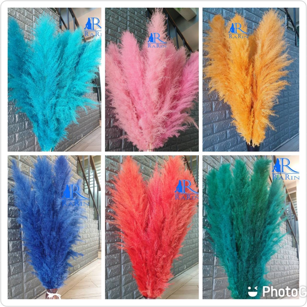 🌾สวยตรงปก🌾ย้อมสี🌺1 ก้าน ขนาด 80-90 cm. เป็นดอกไม้ธรรมชาติ  ดอกฟุ้งฟิ้ง ประดับห้อง ร้าน งานแต่ง DIY