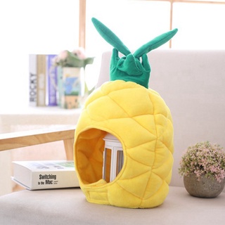 HEO~Soft Warm Pineapple Cap Fruit Plush Hats Earmuffs PP Cotton Filled Beanies For Women Adult Hat Photo Props