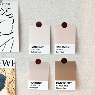 *พร้อมส่ง* โปสเตอร์แต่งห้อง (Set 4 ชิ้น) Pantone ขนาด 3*4 นิ้ว