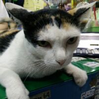 Profile smindsolove