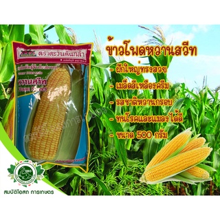 ข้าวโพดหวานสวีท 500 กรัม