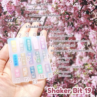 แม่พิมพ์เรซิ่น Shaker Bit 19 Mold