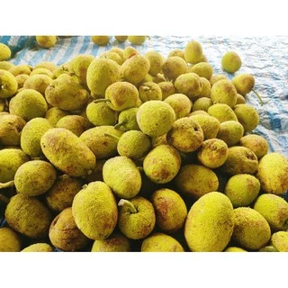 สาเกเชื่อมสาเกข้าวเหนียวหนึบหนับอร่อยหวานน้อย..500กรัม