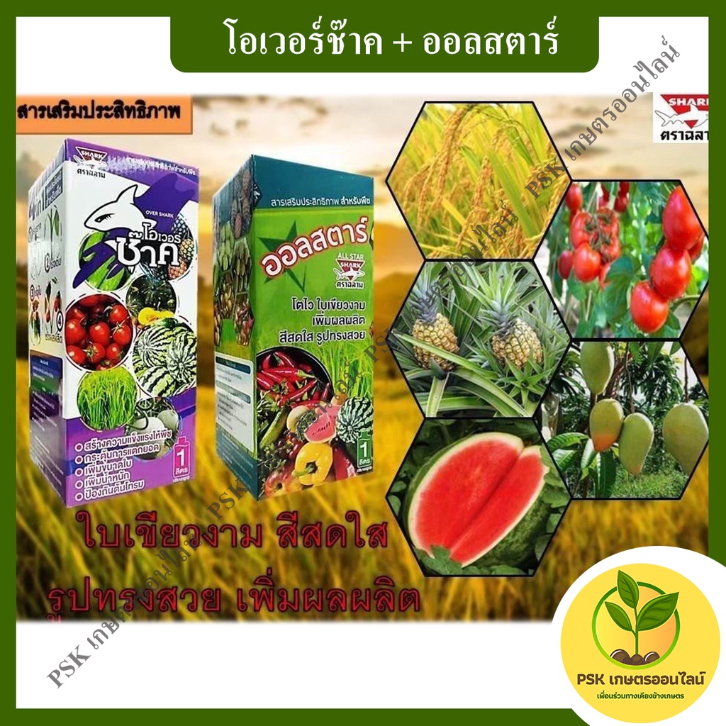 โอเวอร์ช๊าค,ออลสตาร์ อาหารเสริมพืช แม็กนีเซียม+แคลเซียม+อะมิโน 1 ลิตร (PSK เกษตรออนไลน์)