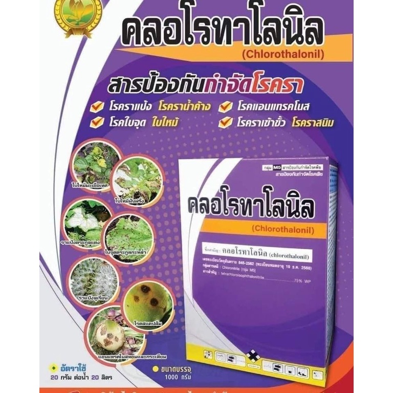 คลอโรทาโลนิล75% ขนาด 1 กิโลกรัม(คลอโรทาโลนิลกล่องม่วง)ป้องกันเชื้อรา