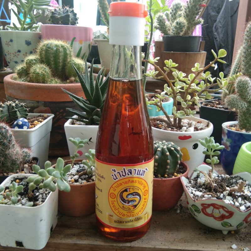 (จัดส่งโดยขนส่งSPXเท่านั้น)น้ำปลาตราปลาคู่ 250ml.ขวดแก้ว ( ส่งทุกวันไม่มีวันหยุดตามลำดับการสั่ง) จำหน่ายโดยคนชลบุรี