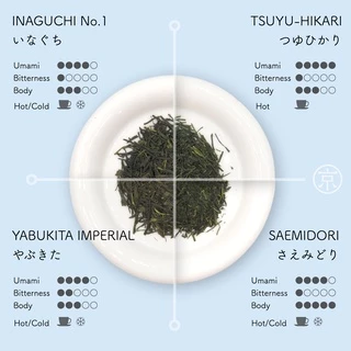 KYOBASHI - SENCHA Saemidori Sencha ชาเขียว เซนฉะ สายพันธุ์สะเอะมิโดะริ
