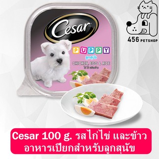 [ 24 ตลับ] Cesar Puppy 100g. Chicken Brown Rice Egg  ซีซาร์ อาหารลูกสุนัข อายุ 2 เดือนขึ้นไป