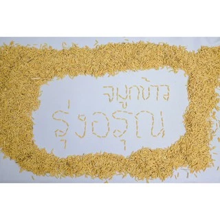 รุ่งอรุณ จมูกข้าวไรซ์เบอร์รี่จากธรรมชาติ