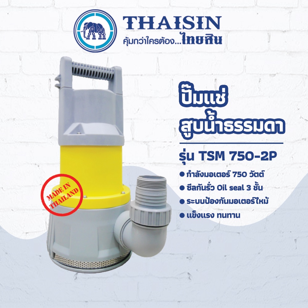 ปั๊มไดโว่ ปั๊มแช่พลาสติก ขนาด 1 แรง กำลังไฟ 750 วัตต์ ท่อ 2 นิ้ว สำหรับสูบน้ำธรรมดา THAISIN TSM-750-2P