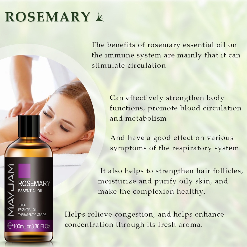 Limited:+10ml Cedarwood] MAYJAM 100ml Rosemary Oil is good for Hair Growth  Anti Dandruff Herbs Plant Rosemary Essential Oils | Shopee Thailand