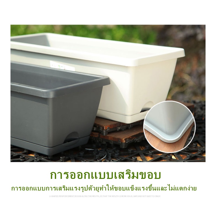 รูปภาพ 6