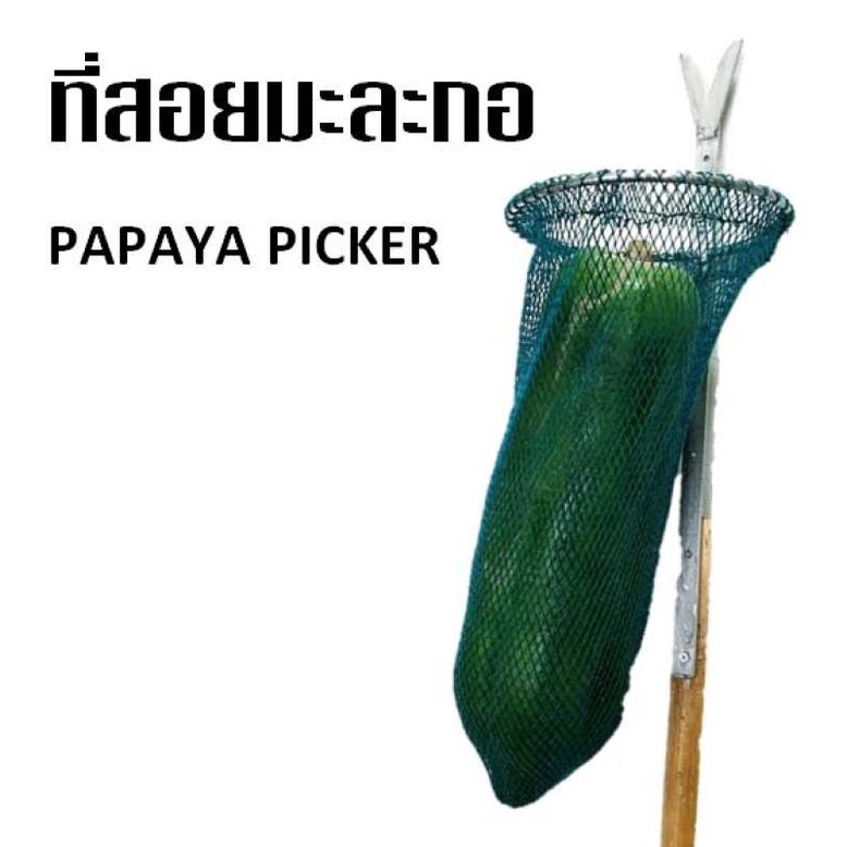 ที่สอยมะละกอ ไม้สอยมะละกอ ที่เก็บลูกมะละกอ ตะขอเกี่ยวลูกมะละกอ papaya picker harvesting tools