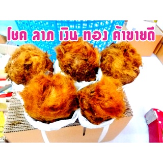 ว่านลูกไก่ทอง Cibotium barometz ไม้มงคลเสริมดวง และ บารมี มีติดบ้านติดร้านไว้ ค้าขายดี ไม้แห่งความเชื่อ