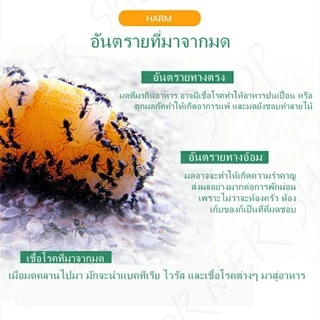 ยากำจัดมด ยาฆ่ามด ฆ่าตายยกรัง ซื้อ5แถม2 ซื้อ10แถม4 ฆ่ามดได้ทุกสายพันธุ์ ตายยกรัง เห็นผลเร็ว ปลอดภัยต่อคน