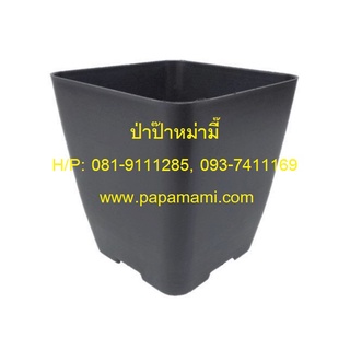 (10-50ใบ) papamami กระถางพลาสติก กระถางดำ สี่เหลี่ยม 4นิ้ว กระถางปลูกต้นไม้ กระถางต้นไม้ ที่ปลูกต้นไม้