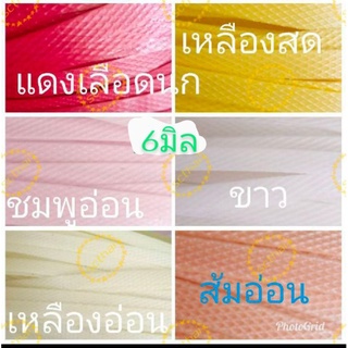 SCTHAIเส้นพลาสติกสีพื้น6มิล (ใส่โค้ดSCTH1265ลด20%ไม่มีขั้นต่ำ ลดสูงสุด99บาท)