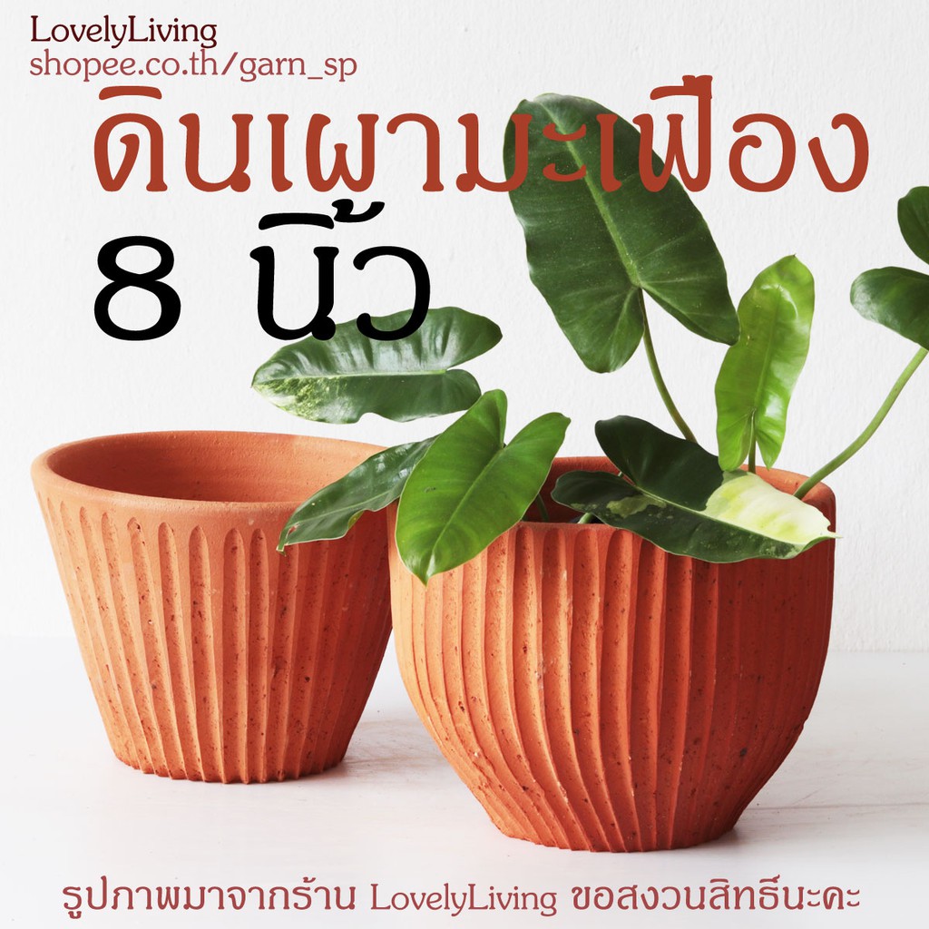 กระถางดินเผา 8 นิ้ว รุ่นมะเฟือง งานปั้นดินเผามินิมอล ดีไซน์สวยไม่ซ้ำ