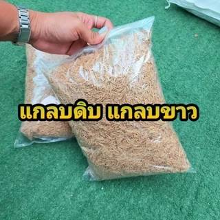 // แกลบ // ดำเผา ขาวดิบ เหลือง // 3 ลิตร (หนักราวๆ 400 - 700 กรัม) วัสดุปลูก