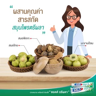 SALZ ยาสีฟัน ซอลส์ ตรีผลา Triphala แพ็คคู่ 160 กรัม
