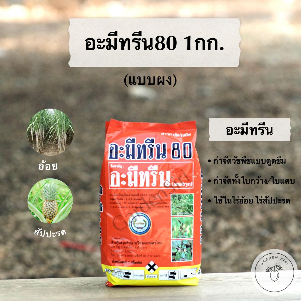 อะมีทรีน 80% ชนิดผง ขนาด 1 กิโลกรัม ตราจิงโจ้ทอง สารกำจัดวัชพืชในไร่อ้อย