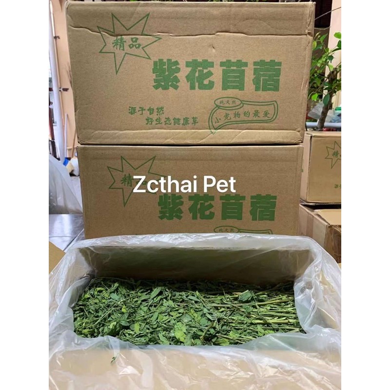 [Alfalfa ใบก้าน] ล็อตใหม่ รับประกันหญ้าเขียวสวย❗️ หญ้ากระต่าย Alfalfa Premium Grade ขนาด 1 Kg.(รวมกล่อง)