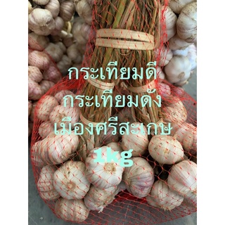 กระเทียมไทยแก้วศรีสะเกษเบอร์1 รุ่น1กิโล