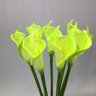 OrientalFineArt คาล่าลิลลี่ตูม Calla lily-light greenดอกสีสวย(CM-01025 Light green)