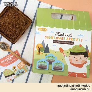 ชุดปลูกต้นอ่อนทานตะวัน (Sunflower Sprouts) ผักออร์แกนิค Planty kid   ครบจบในกล่องเดียว