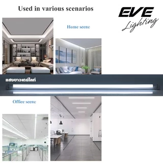 EVE (ลดล้างสต๊อก) หลอดแอลอีดี T8 (ไม่รวมชุดรางไฟ) รุ่น ECO ขนาด 8W 9W แสงขาว แสงเหลือง