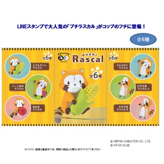 PUTITTO series - Puchi Rascal 6 Pcs Box