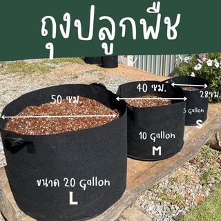 ถุงปลูกต้นไม้แบบผ้า ขนาด 3, 5, 10, 20แกลลอน - Fabric Pot Grow bag