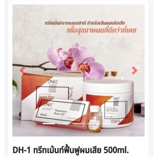 Enie (ดับเบิ้ล เอฟเฟ็ค แฮร์ ทรีทเม้นท์)Double effect Hair Treatment 500ml.