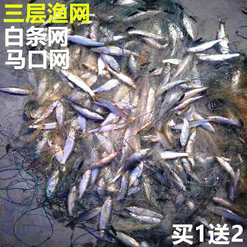 My Image 66
