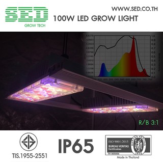 โคมไฟปลูกต้นไม้ ขนาด 100 วัตต์ SED Grow Light ( 100 W LED Grow Light ) เหมาะกับพืชที่เน้นดอก การยืดและแตกยอด