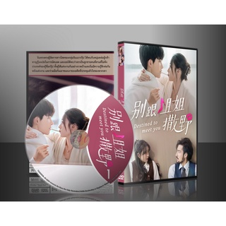 ซีรี่ย์จีน Destined to Meet You เดสทินี รักนี้พี่ขอ (2022) (2ภาษา) DVD 2 แผ่น