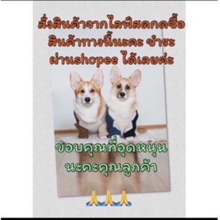 ขายสินค้าเฉพาะในไลฟ์สดนะคะ ราคา25บาท