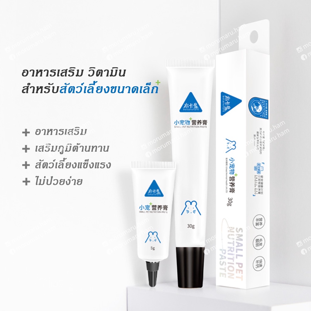 [Bucatstate] อาหารเสริม วิตามิน ขนมสำหรับหนูแฮมสเตอร์ ทุกสายพันธุ์ เม่น กระต่าย หนูตะเภา ชินชิล่า[BS