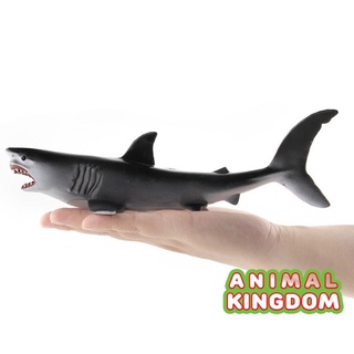 Animal Kingdom - โมเดลสัตว์ ฉลามขาว ขนาด 24.00 CM (จากสงขลา)