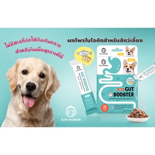 Sun Wonder Gut Booster โพรไบโอติกสำหรับสุนัข เเก้ท้องเสีย ท้องอืด ระบบย่อยมีปัญหา ปริมาณ 1 กล่องบรรจุ 12 ซอง