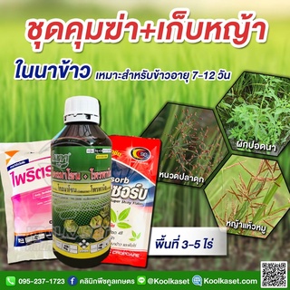 กำจัดหญ้า ในนาข้าว 3-5 ไร่ สารเร่งการดูดซึม วัชพืชงอก คุมฆ่าหญ้า คูลเกษตร KP39