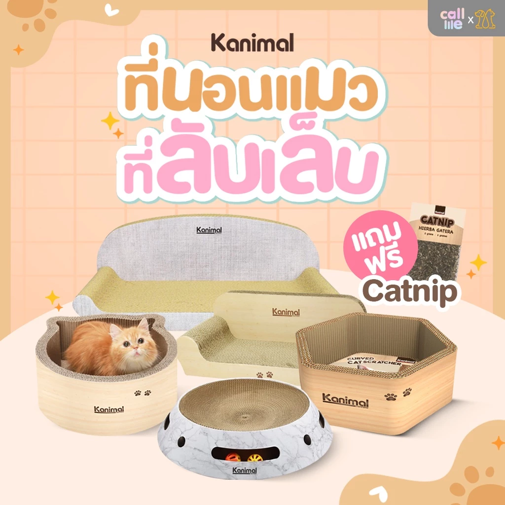 Kanimal ที่นอนแมว ที่ลับเล็บแมว สำหรับแมวทุกวัย มีให้เลือก 5 แบบ แถมฟรีแคทนิป